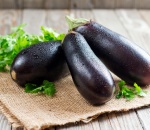 Aubergine