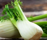 Fennel