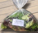 Salad Pack Mixed UK