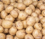 Potato White Cara UK